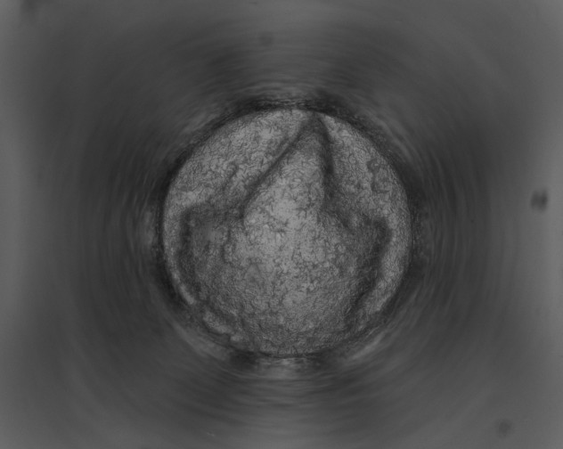 X0000095510131200801041209