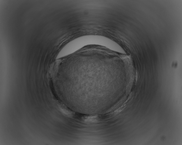 X0000095510132200801041209