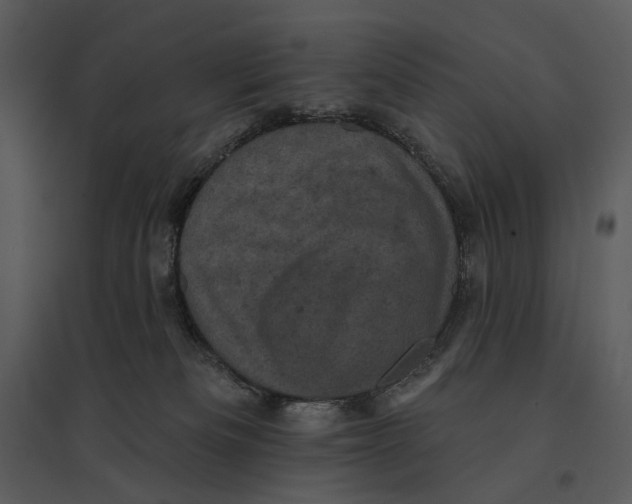 X0000095510133200801041209