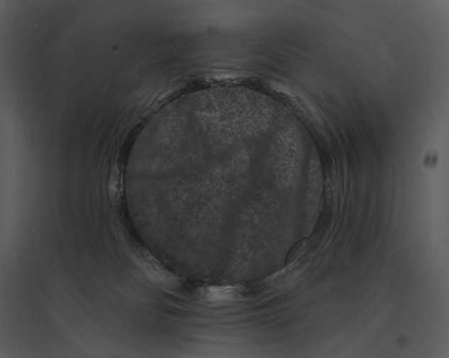 X0000095510134200801041209