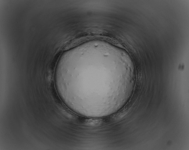 X0000095510135200801041209