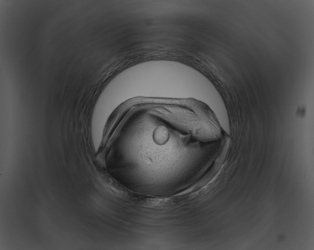 X0000095510136200801041209