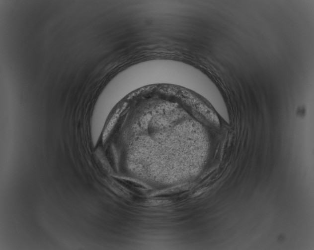 X0000095510137200801041209