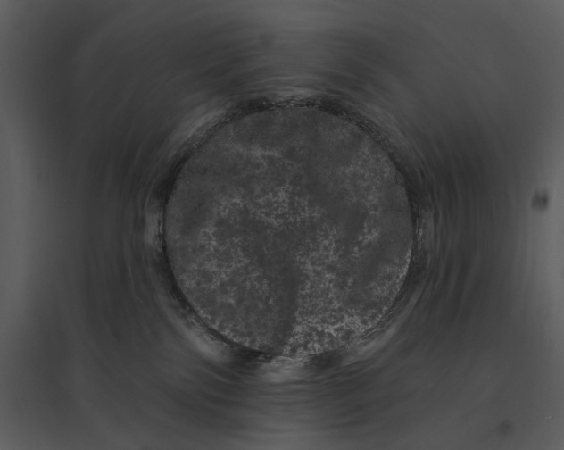 X0000095510138200801041209