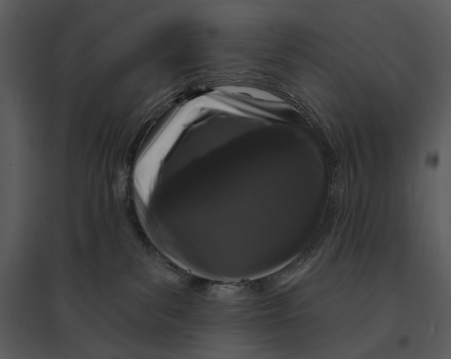 X0000095510139200801041209