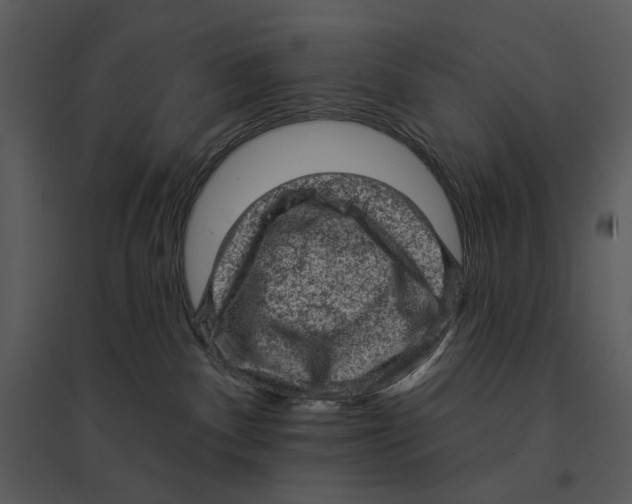 X0000095510140200801041209