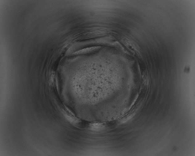 X0000095510141200801041209