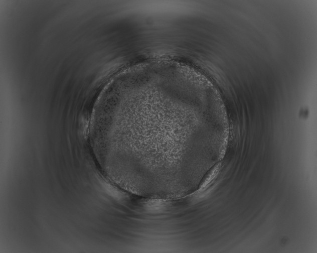 X0000095510142200801041209