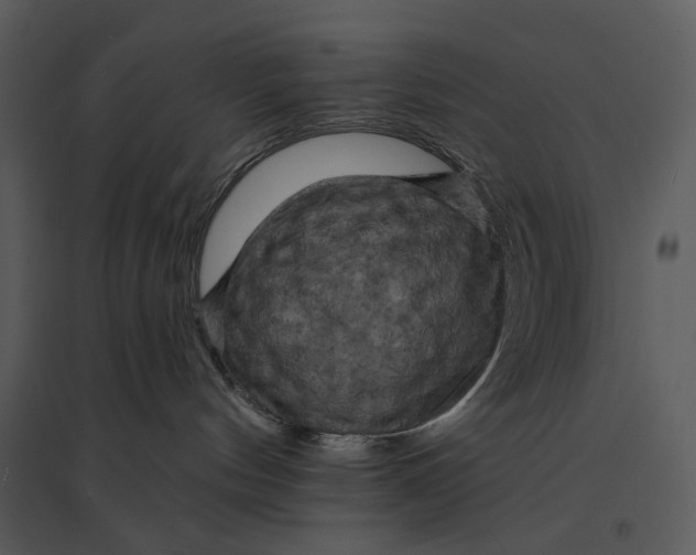 X0000095510144200801041209