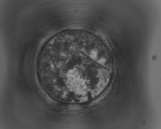 X0000095510145200801041208