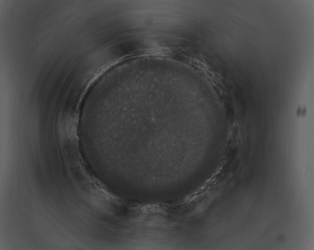 X0000095510146200801041208