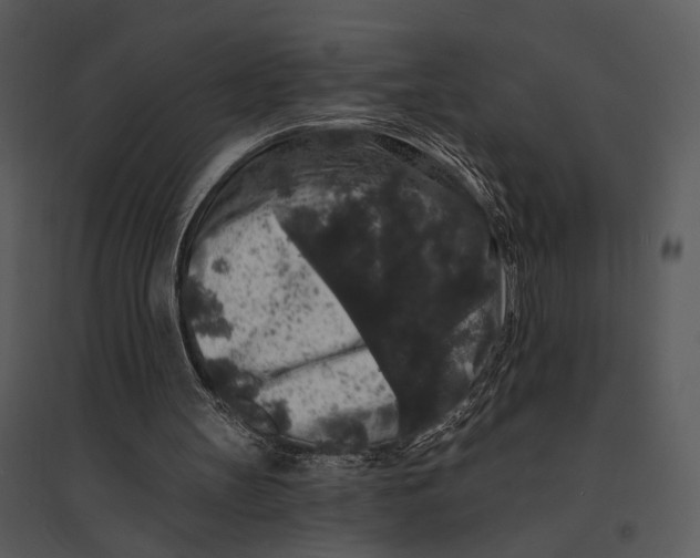 X0000095510147200801041208