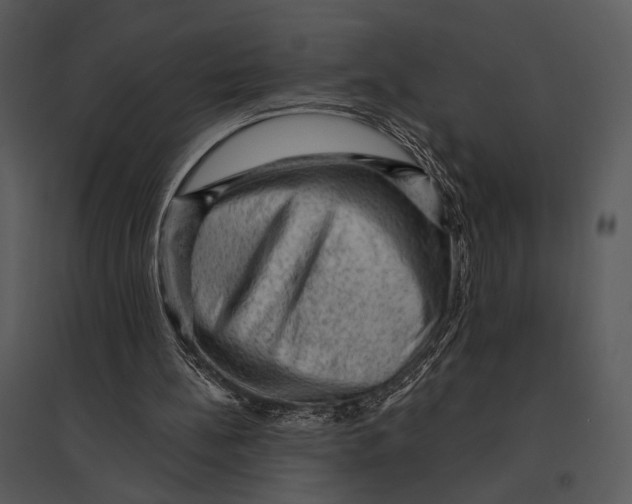 X0000095510148200801041208