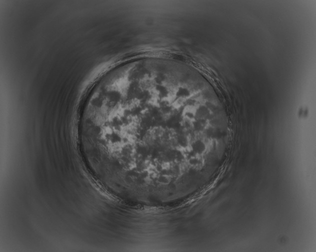 X0000095510149200801041208