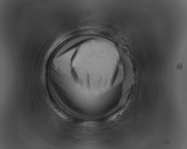 X0000095510150200801041208