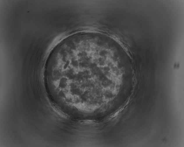 X0000095510151200801041208