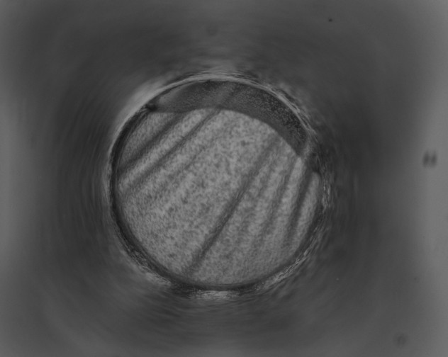 X0000095510152200801041208