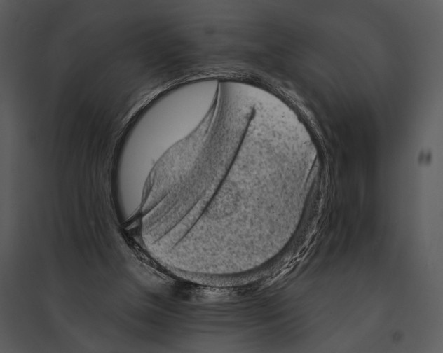 X0000095510154200801041208