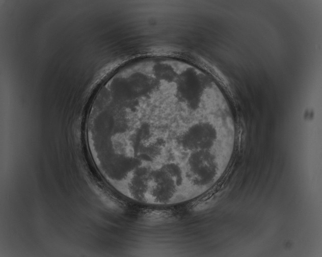 X0000095510155200801041208