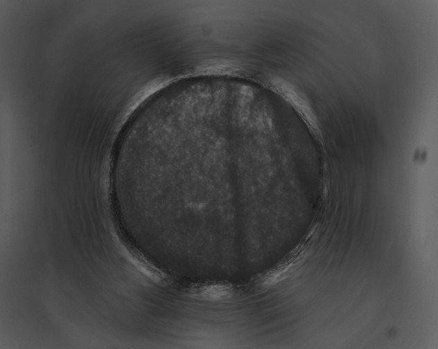 X0000095510156200801041208