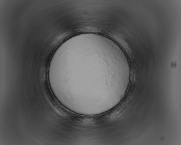 X0000095510157200801041208