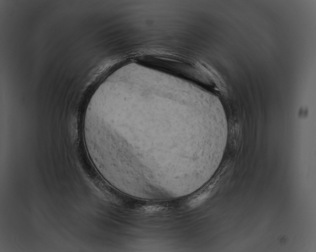 X0000095510158200801041208