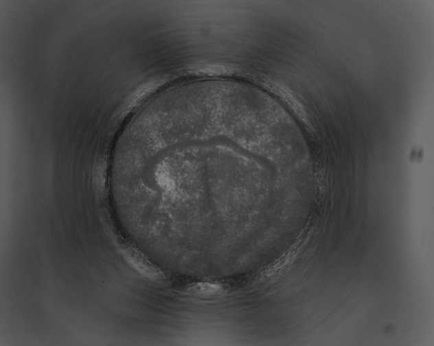 X0000095510159200801041208