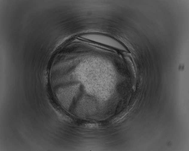 X0000095510160200801041208