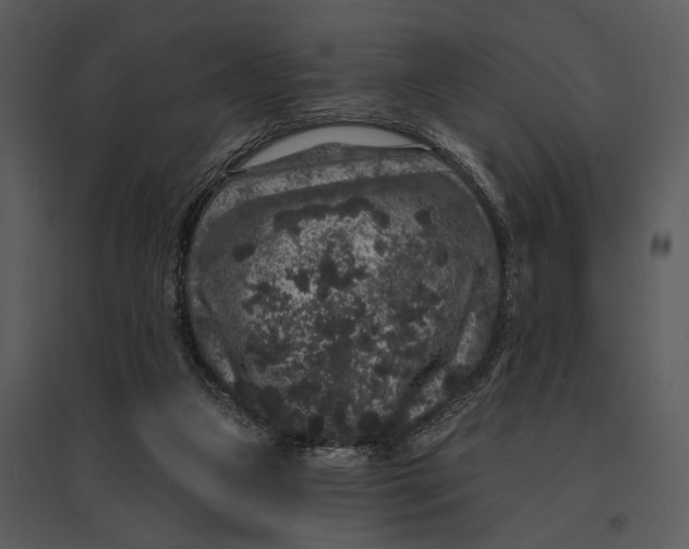 X0000095510161200801041208