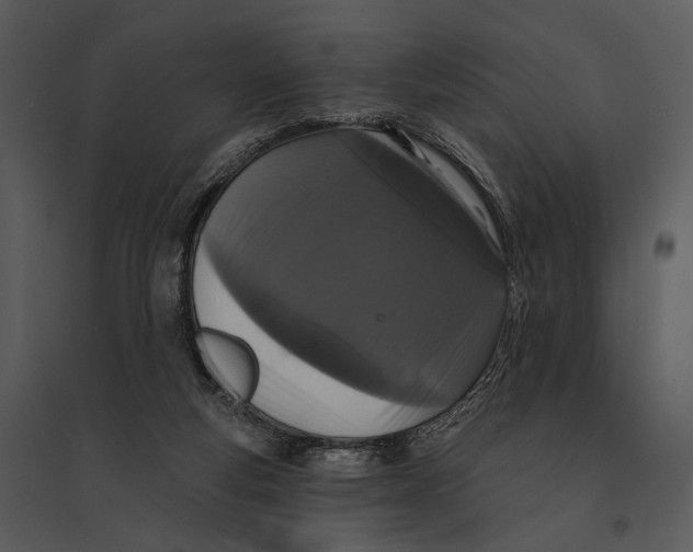 X0000095510163200801041208