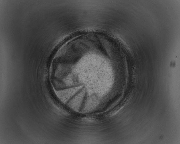 X0000095510164200801041208