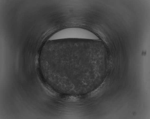 X0000095510166200801041208