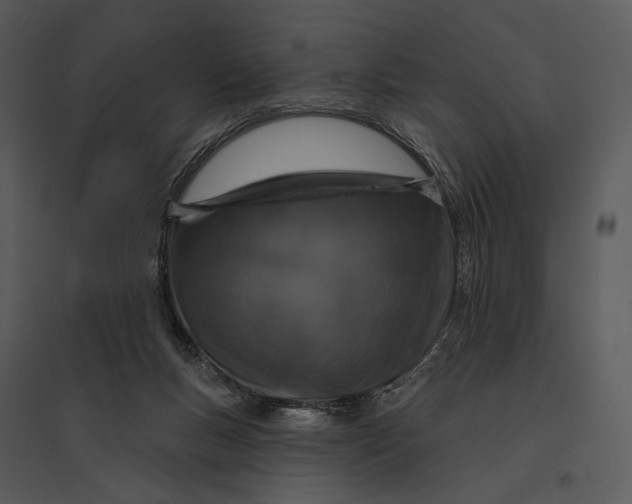 X0000095510167200801041208