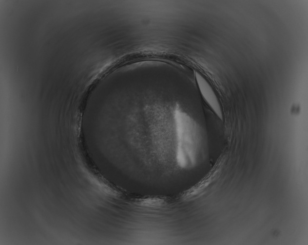 X0000095510168200801041208