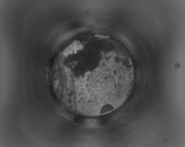 X0000095510169200801041208