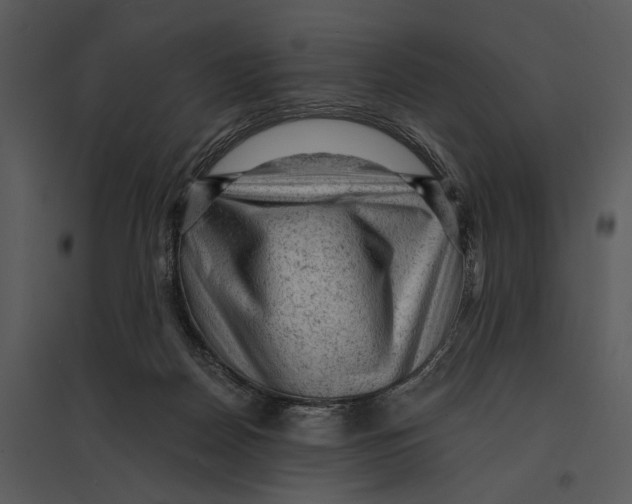 X0000095510170200801041208