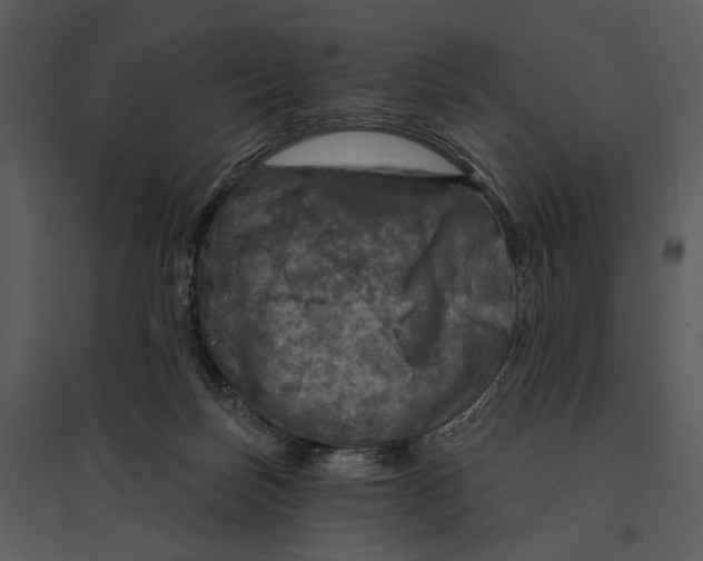 X0000095510171200801041208