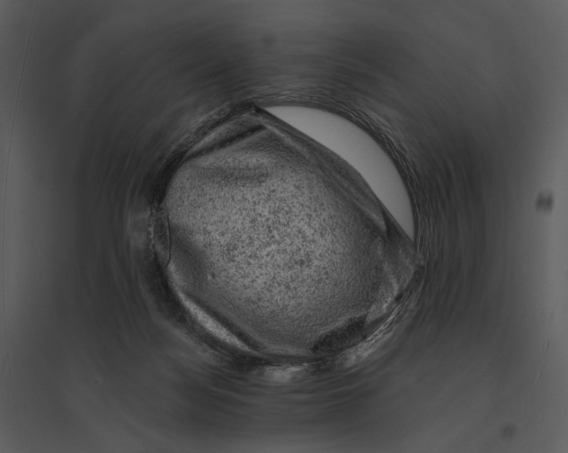 X0000095510172200801041208