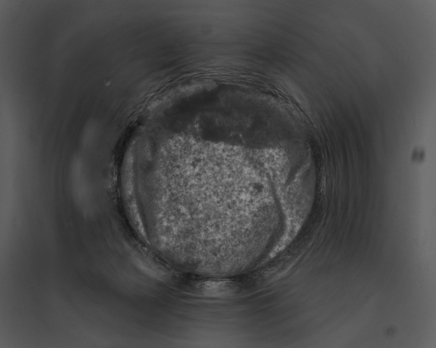 X0000095510173200801041208