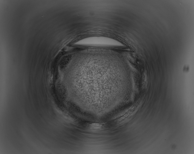 X0000095510176200801041208