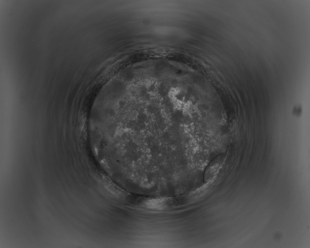 X0000095510178200801041208