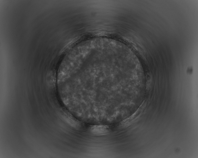 X0000095510179200801041208