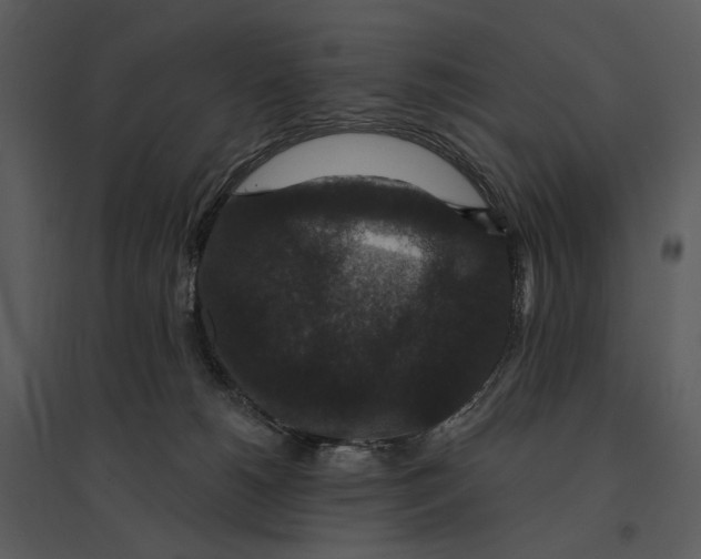 X0000095510180200801041208