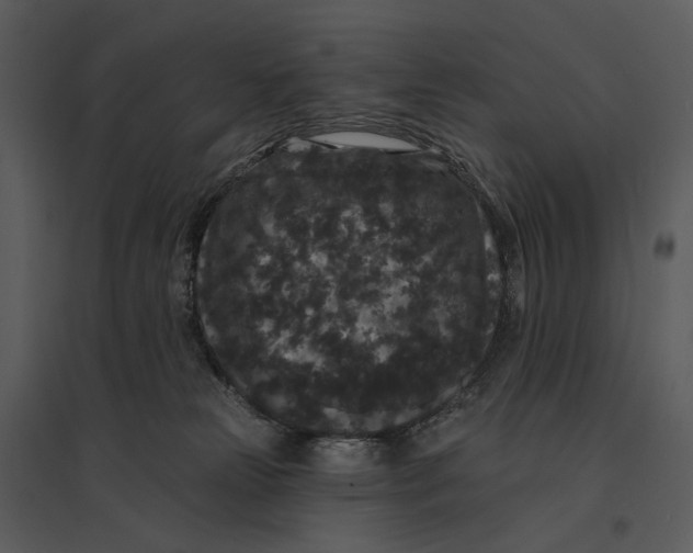 X0000095510181200801041208