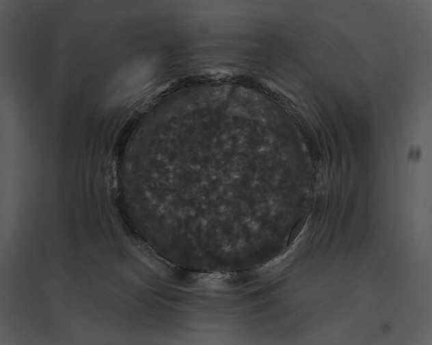 X0000095510182200801041208