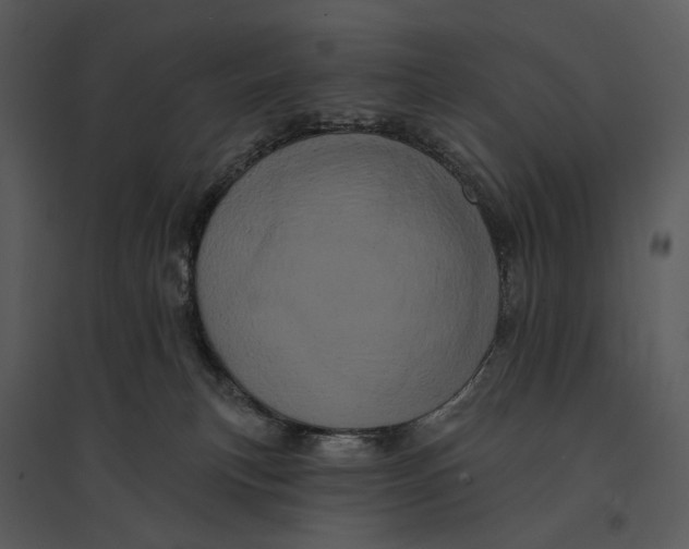 X0000095510183200801041208