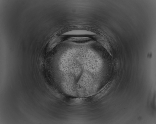 X0000095510184200801041208