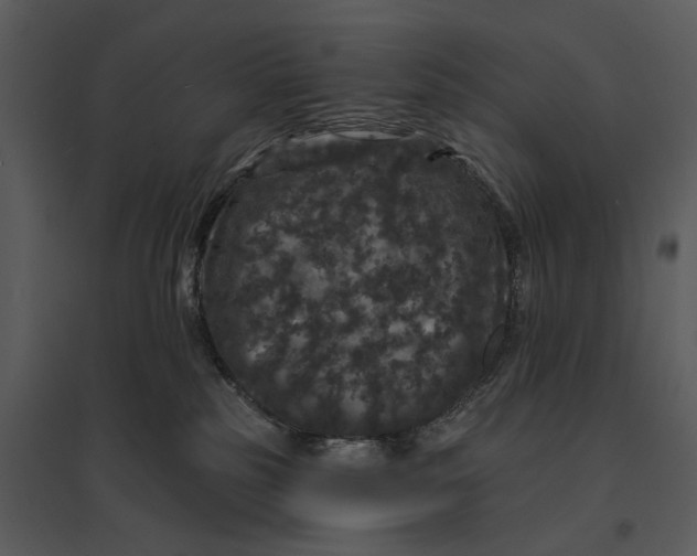 X0000095510185200801041208