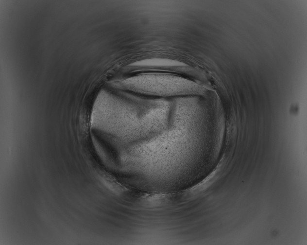 X0000095510186200801041208