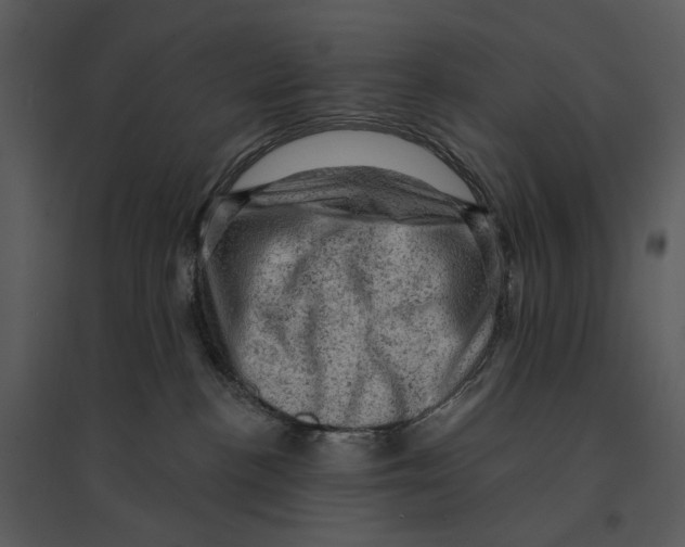 X0000095510188200801041209